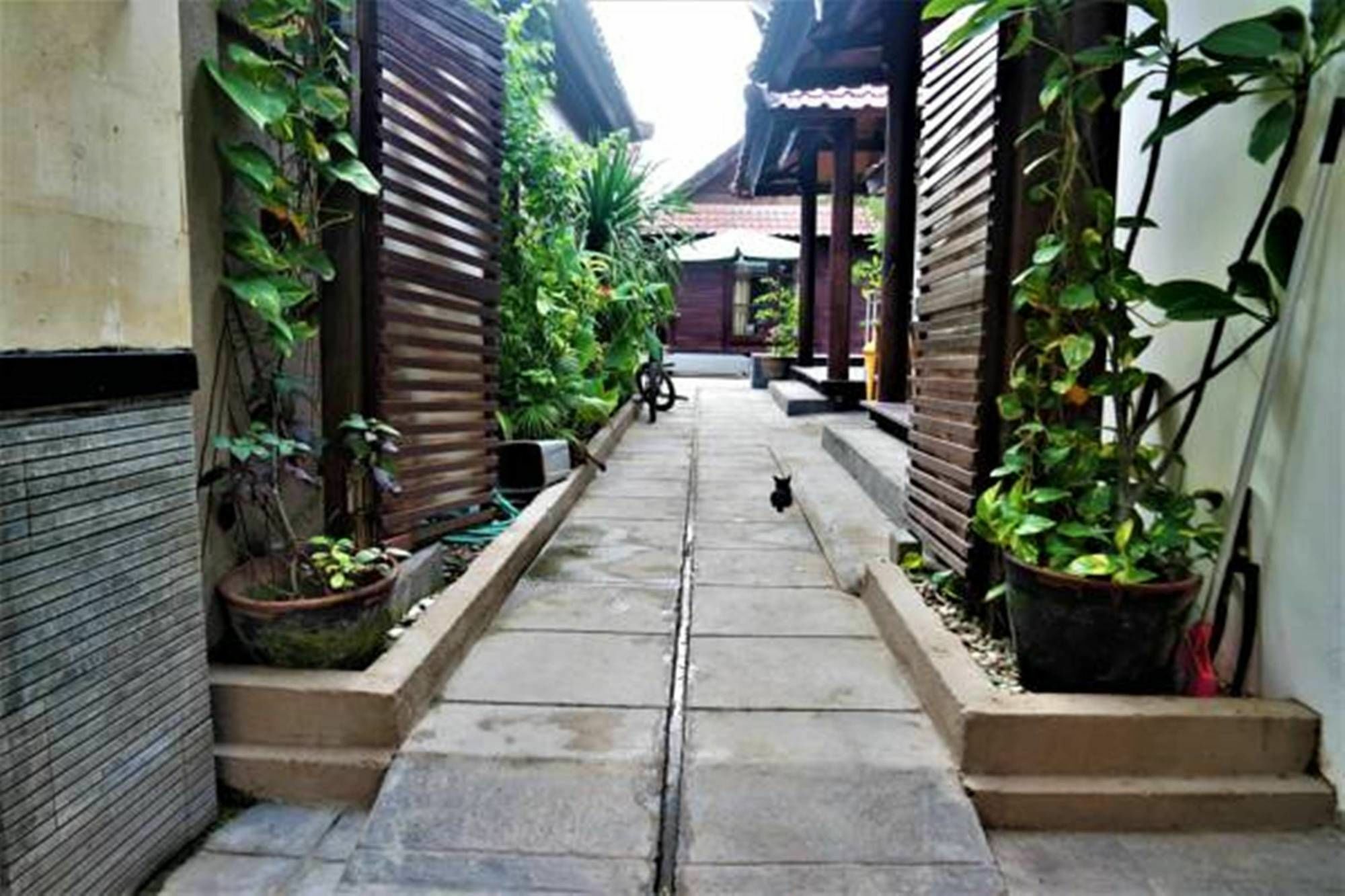 Drupadi Bungalows Gili Trawangan Esterno foto